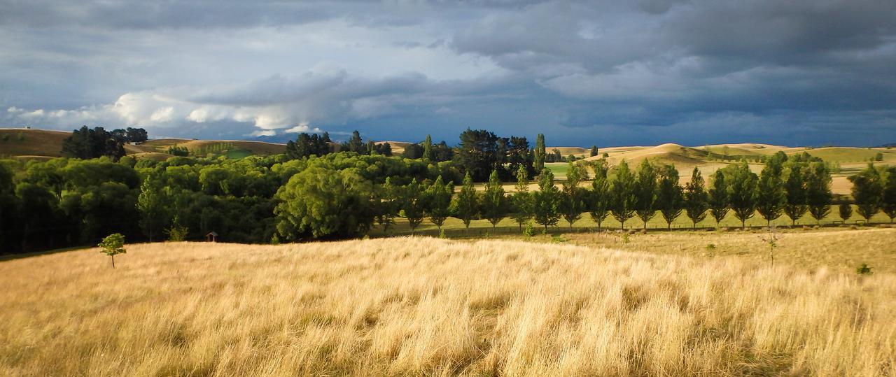 Tree House Lodge Bed & Breakfast Cheviot Exteriör bild