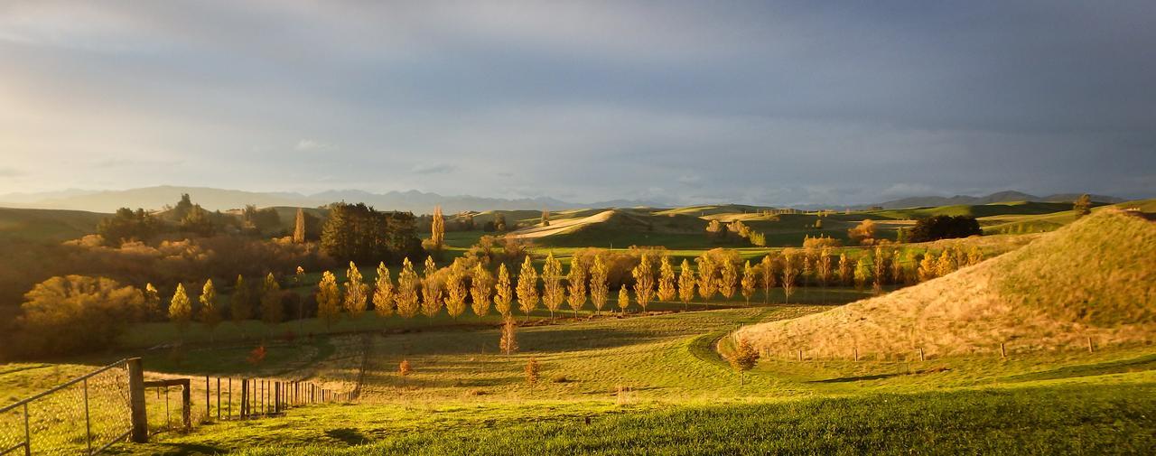 Tree House Lodge Bed & Breakfast Cheviot Exteriör bild