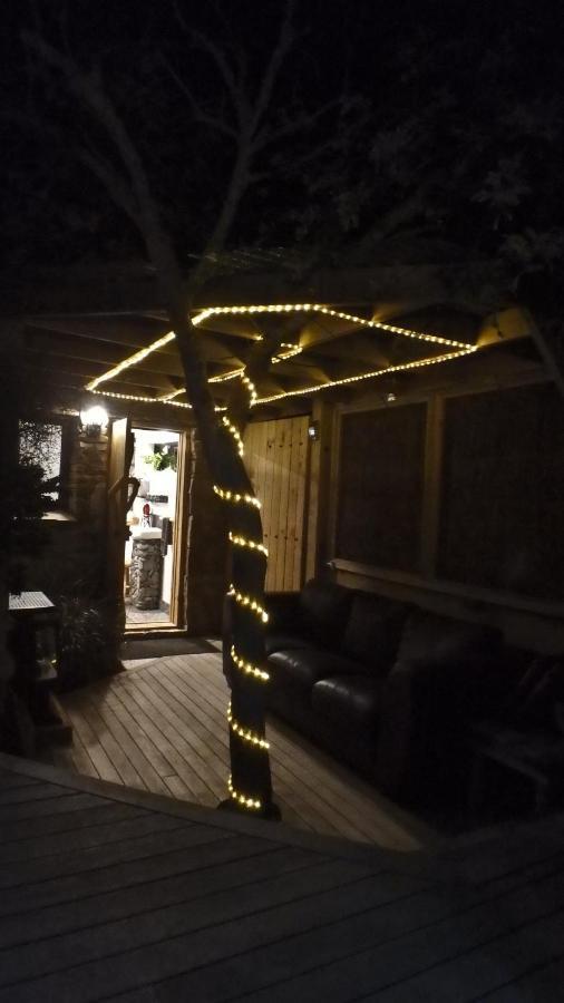 Tree House Lodge Bed & Breakfast Cheviot Exteriör bild