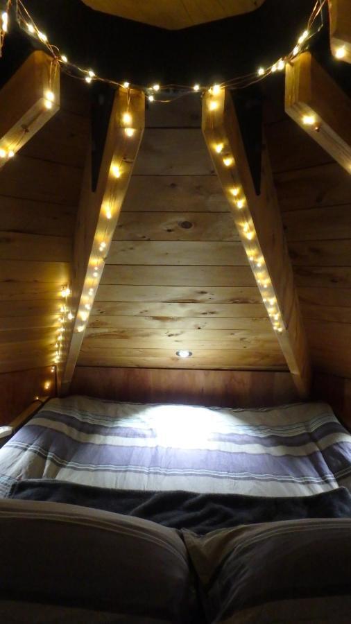 Tree House Lodge Bed & Breakfast Cheviot Exteriör bild