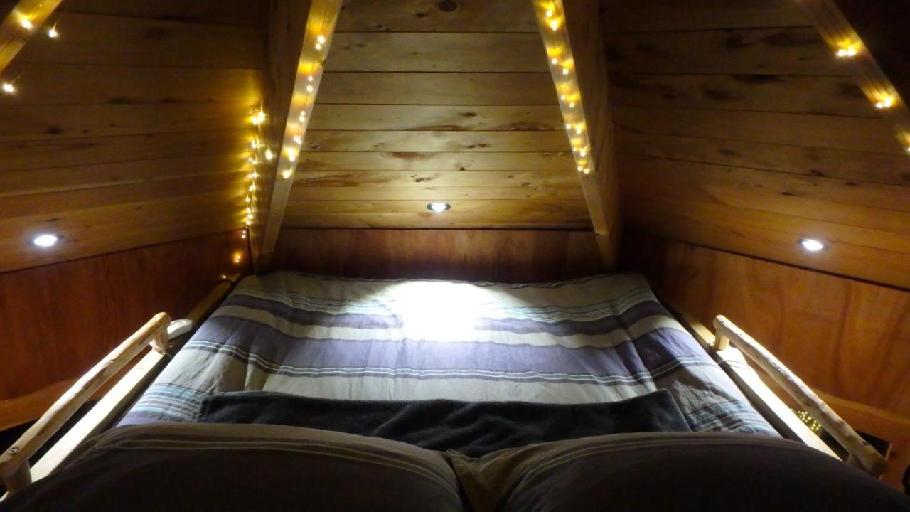 Tree House Lodge Bed & Breakfast Cheviot Exteriör bild